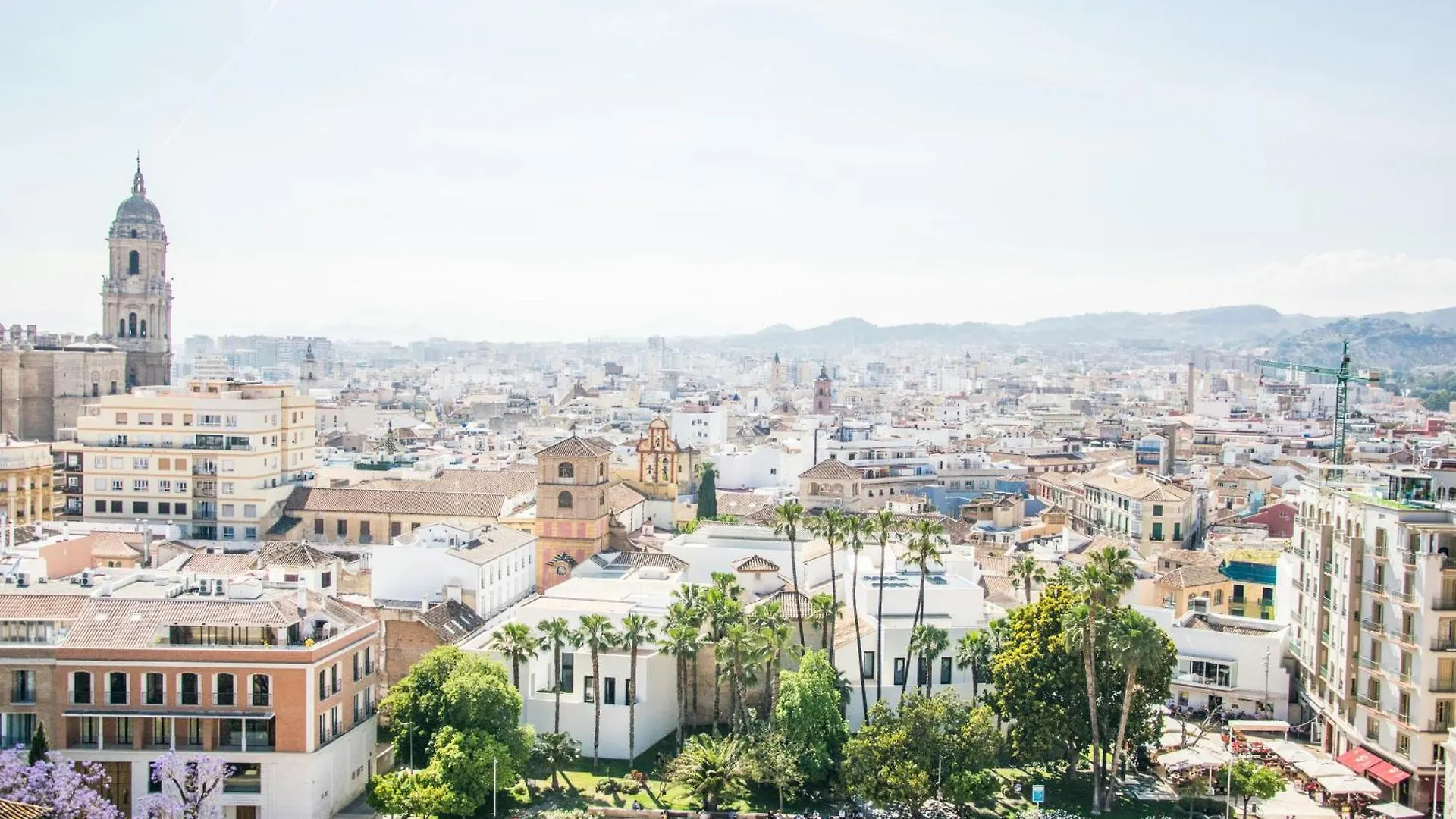 Apartment Homely Malaga Felix Saenz Deluxe Spain
