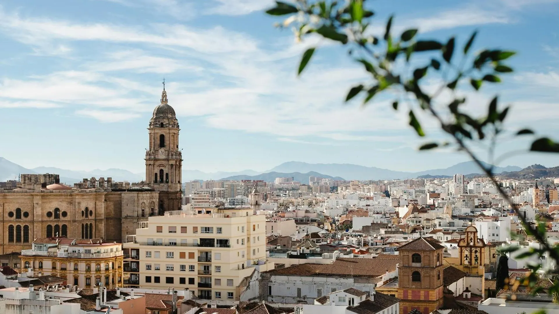 Homely Malaga Felix Saenz Deluxe