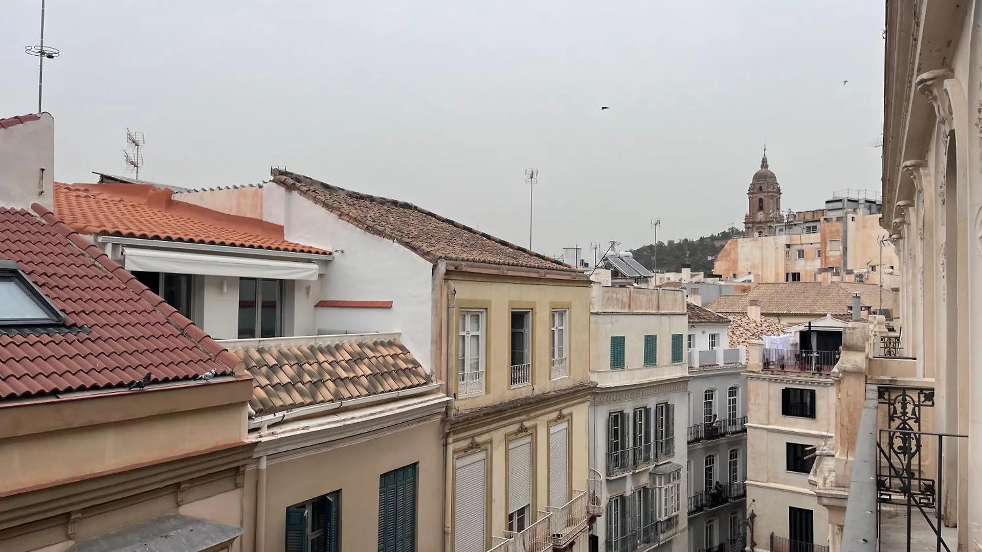 Apartmán Homely Malaga Felix Saenz Deluxe